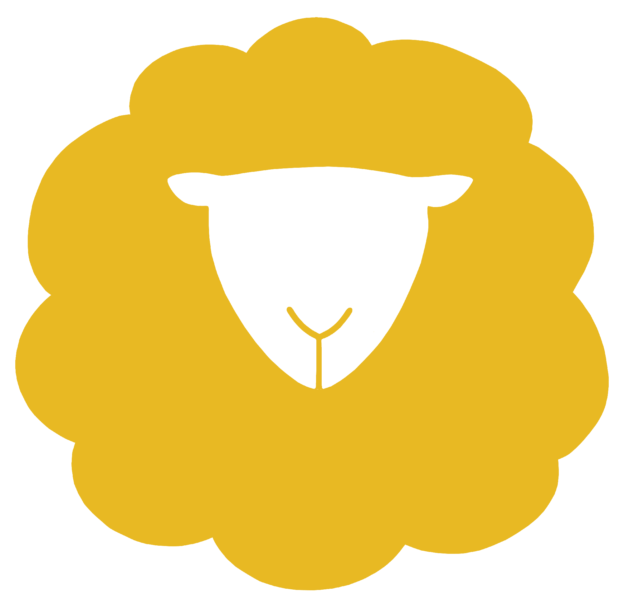 image of a small yellow sheep with a white head